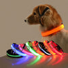 Safety Dog LED Collar