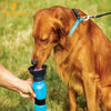 Portable Outdoor Dog Water Bottle