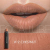 New Focallure Matte Waterproof Lipstick pencils