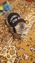 Awesome Cat Summer n Spring Vest Collections