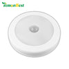 Motion Sensor LED Light